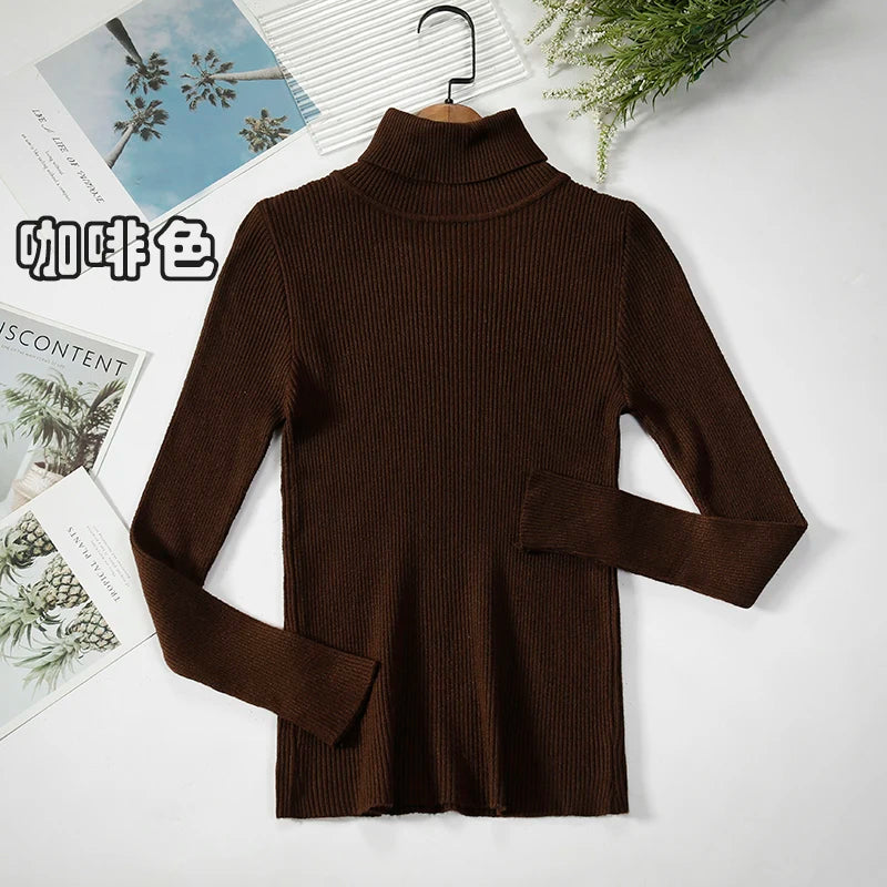 Elevate Your Autumn Wardrobe with Our Stylish Turtleneck Pullover Sweater for Women